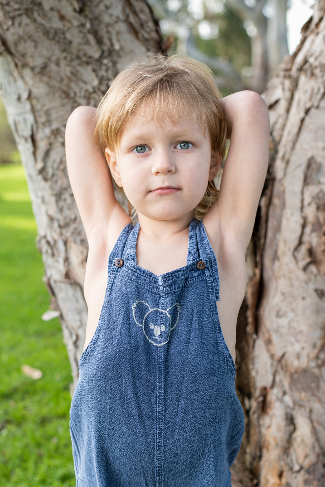 Charlie (Koala Face)