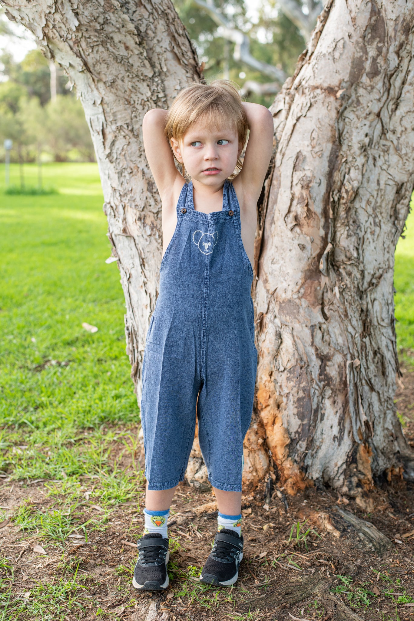 Charlie (Koala Face)